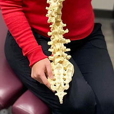 Spine Life Chiropractic (Servicios) (2)